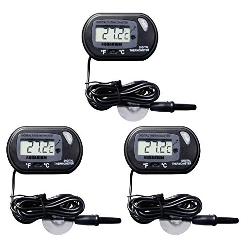 QUNQI (3{Zbg) LED fW^v v zՕt ubN