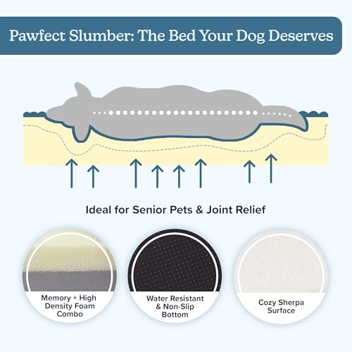 Orthopedic Dog Bed - 2-Layer Memory Foam Crate Mat with Machine Washable Sherpa Cover - 20x15 Pet Bed for Small Dogs Up to 20lbs by PETMAKER (Gray) by PETMAKER - Image 5
