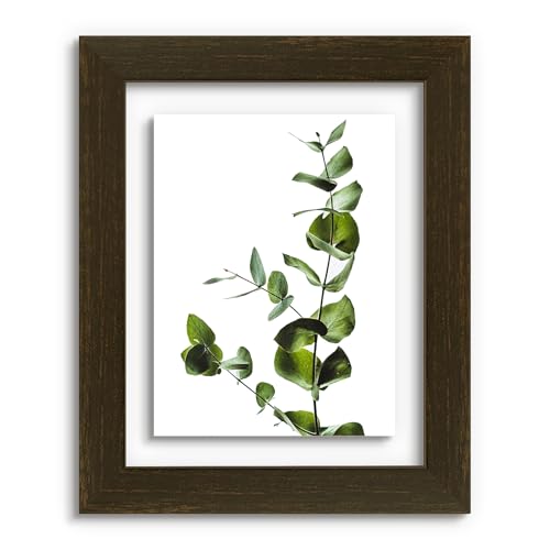 Golden State Art 8X10 Floating Picture Frame Solid Wood Dark Brown(1 Pack)