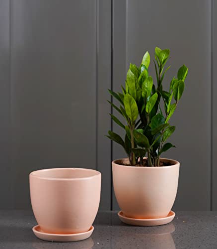 Image of Nurturing Green Set of 2 Modern Blush Pink Ceramic Pots for Home & Indoor Decor (Size: 5 Inch Wide | Comes with Bottom Plate) - [Plants are not Included]