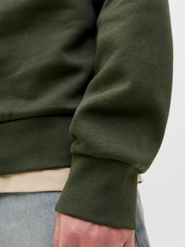 JACK & JONES Jjelogo Sweat Hood 2 Col 25/26 Noos – Ansicht 4