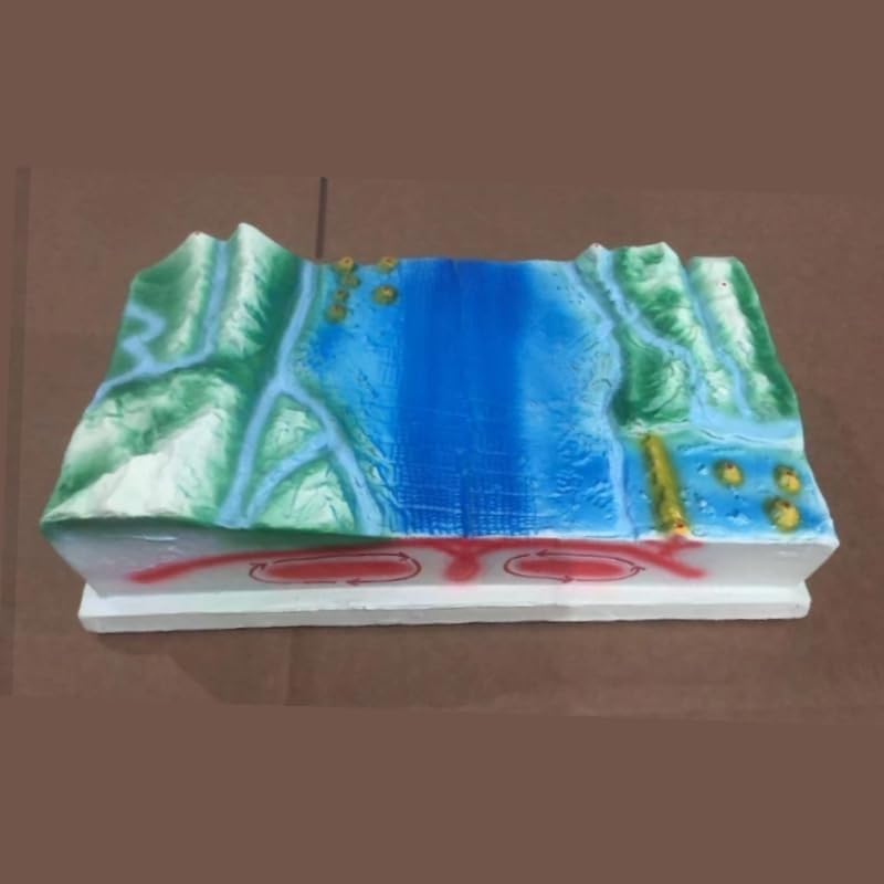 Modèle tectonique des plaques 3D pour comprendre la topographie des océans - 2