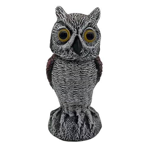 mophrati t@[̒|点邽߂̃tNEH| ABS Ɠcɂ̒iŐ, s