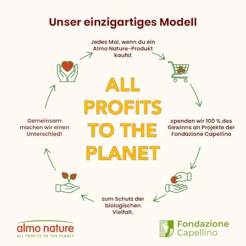 Almo Nature HFC Jelly - Nassfutter für ausgewachsene Katzen - Lachs - Human Grade, Glutenfrei & Monoprotein - 6 x 70g
