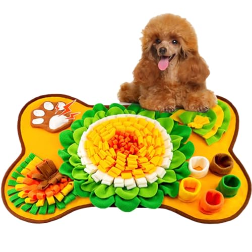 Phantasmia pm[Y[N}bg 25x17C`ALΉpYa}bg ? kohŐ_Aϋv|GXefށA@ΉŐێ (IW1)