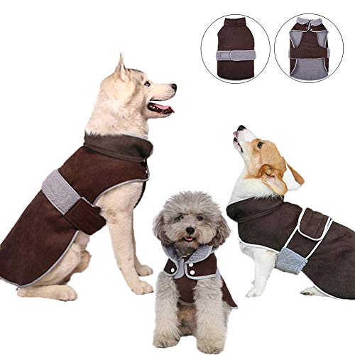 Best Outdoor Pet Warmers
