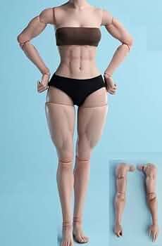 【筋肉女子】1/6　素体 　普通肌 アジア女性ヘッド付き 筋肉女子】1/6 素体 普通肌 アジア女性ヘッド付き