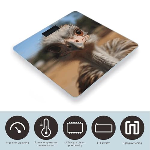 Báscula Digital de Baño con Diseño de Avestruz y Plataforma de Vidrio Templado miniatura 3