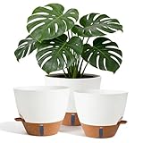 Nuotuv 8/9/10 Inch Large Self Watering Pots, Plastic Flower Pots with Multi Mesh Drainage Holes and Water Level Indicator & Deep Reservoir for Indoor Outdoor Garden Plants and Flowers (White)