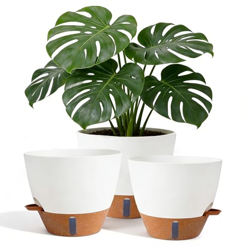 Nuotuv 8/9/10 Inch Large Self Watering Pots, Plastic Flower Pots with Multi Mesh Drainage Holes and...