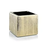 WGVI WGV Ceramic Cube Vase Width 5.5' Height 5' (Fits 5' Pot) Elegant Modern Block Square Floral Planter Terrarium Container Table Dresser for Event Accent Home Office Decor Gold Textured 1 Piece