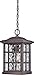 Quoizel SNN1909PN Stonington Outdoor Pendant Ceiling Lighting, 1-Light, 100 Watt, Palladian Bronze (15"H x 10"W)