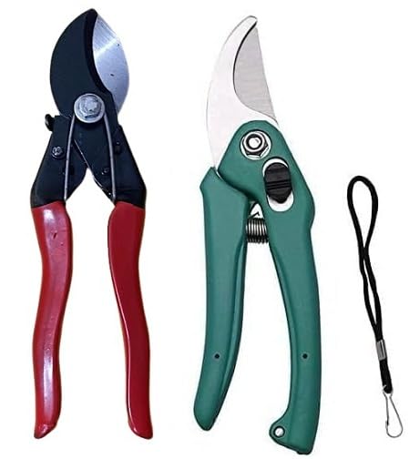 AARAV Heavy Duty Plant Cutter | Garden Shears/Super Pruning Secateur (Steel, Multicolor) Garden Double Cut Pruner + Garden Shears Pruner (Cutter Anvil Pruner) (Double Cut, Pruner) Set of 2 (B0CK2VQQNN) Amazon Price History, Amazon Price Tracker
