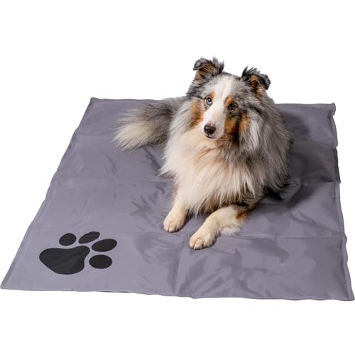 dobar® 60422 Kühlmatte für Hunde - Hundekühlmatte für Hund & Katze - selbstkühlende Matte für Haustiere - Hundedecke mit Kaltgel-Füllung - Kühldecke - 99,5 x 70 cm - Grau