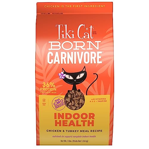 10 Best High Protein Low Carb Cat Food