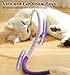 Dgerp Cat Chew Ropes 4Pcs, Cat Toys for Indoor Cats with Refillable Natural Catnip, Safe Teeth Cleaning Chew Toys, Interactive Kitten Nip Toys and All Breeds (19.5 Inches)