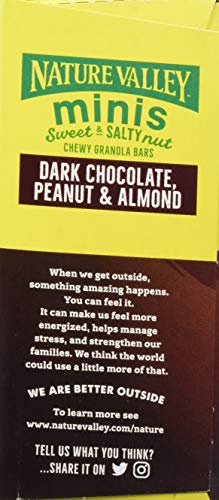 Nature Valley Sweet And Salty Minis, Dark Chocolate Peanut And Almond, 10 Bars (Pack Of 6) #TOP1