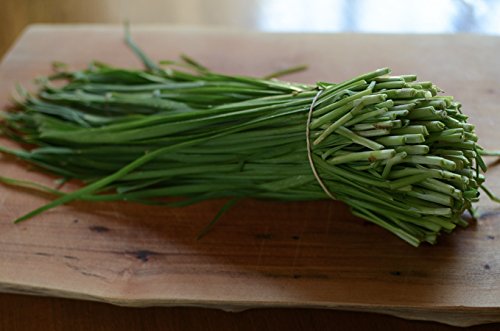 Creative Farmer Herb Plants Seeds - Chinese Chives Kitchen Garden Pack (B0753J8KGH) Amazon Price History, Amazon Price Tracker