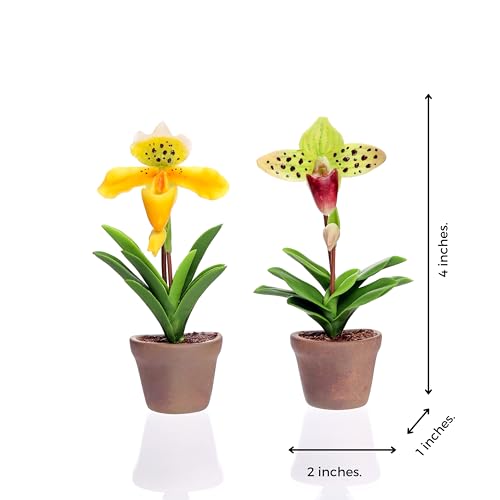 Orquídea Miniatura en Maceta Cerámica con Imanes Fuertes miniatura 4