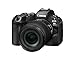 Canon EOS R6 Mark III RF24-105mm F4-7.1 is STM Lens Kit