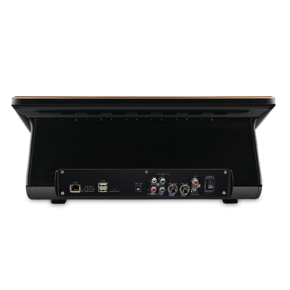 2025 InAndOn Chinese Karaoke System with Wireless Microphone, 18.5 inch Capacitive Touch Screen, 650K Cloud Song Library, YouTube Online Play, 4T