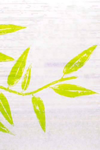 Coleção O Gabinete das Curiosidades