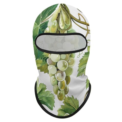 Balaclava para Hombres y Mujeres, Máscara de Esquí con Brillo al Sol, Cubreboca Integral para Ciclismo miniatura 7