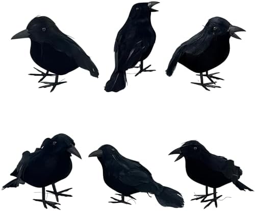 Amazon.com: yumhum 6 Packs Real Feathered Halloween Black Crows ...