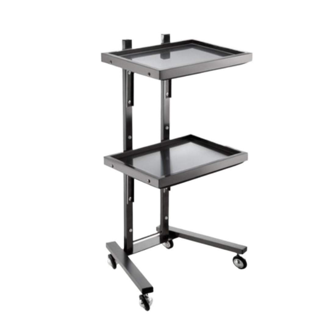 2-Tier Foldable Salon Rolling Stainless Steel With Tray For Bedroom Tattoo Shop For Barber Shops(Black)