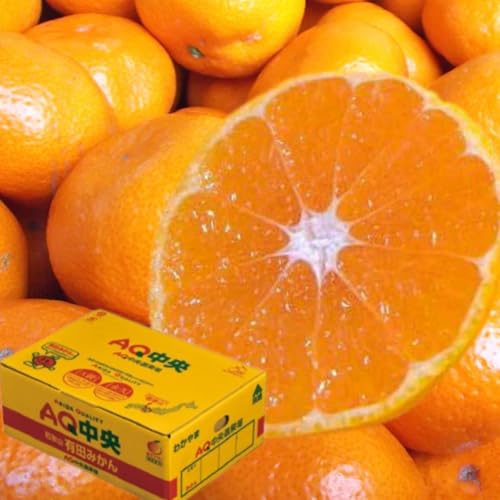 _Hiv(AQ)݂H^ 6LiRL×QP[Xja̎R 肾݂ yMJA肾z uh݂ AQ݂ Lc݂ ŷΉzL`STCY B݂ ݂̈Yn  ~J Lc 肽 肾 ݂ ~Mtg i