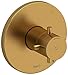 Riu 1/2" Therm & Pressure Balance Trim with 5 FunctionsBRUSHED GOLD