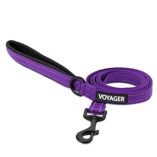 Image of Best Pet Supplies Voyager Reflective Dog Leash or Collar with Neoprene Handle, for Small, Medium, and Large Breed Puppies, Cute and Heavy Duty for Walking, Running and Training - Purple (Leash), L