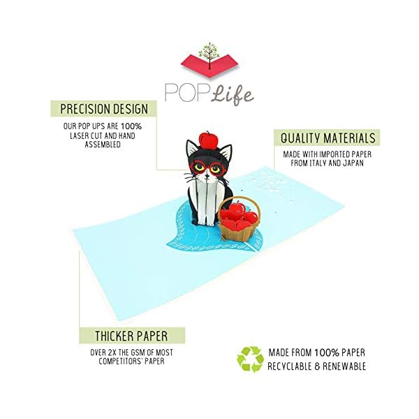 PopLife Verspielte Katzen-Pop-Up-Karte, 3D-Karte für alle Anlässe - Katzenliebhaber-Karte, lustig – Bild 5
