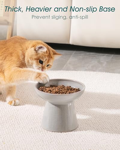 Gamelles surélevées peu profondes pour le bonheur de votre chat - 14