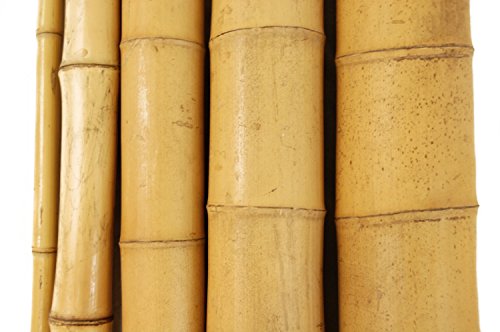 Backyard X-scapes Natural Bamboo Poles 2in x 8ft (10Pieces) - Thumbnail 4