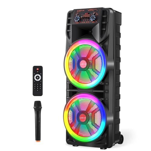 ROXAAN Dual 12’’ Wireless Party Bluetooth Speaker with Microphone, Remote, Portable PA Speaker System, RGB LED Party Lights, Karaoke Machine with Treble & Bass, FM/AUX/USB/TF/TWS/Echo