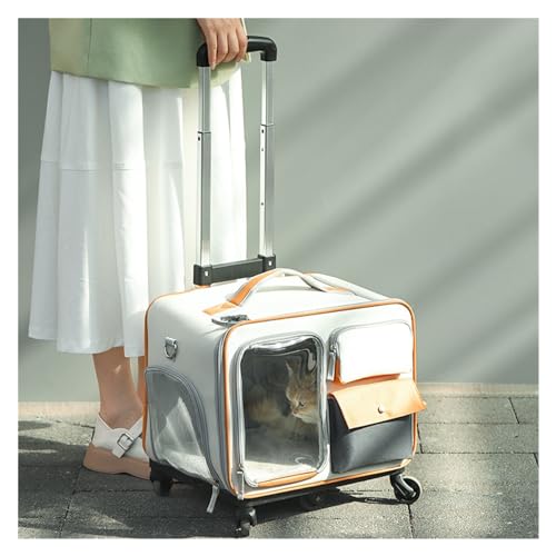 Valise à roulettes pour animaux de compagnie et sac portable de transport pour chien et chat