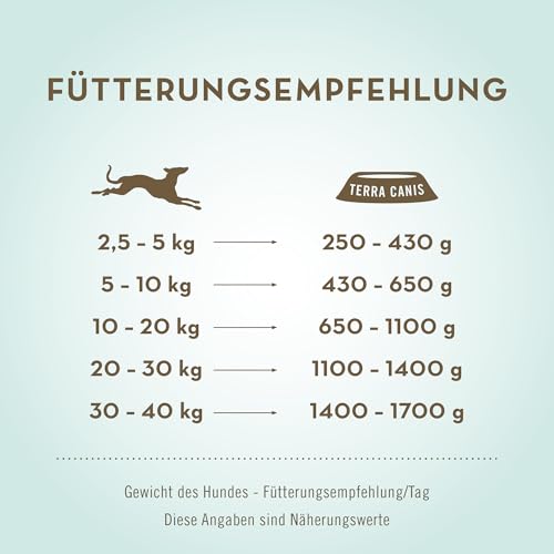 Terra Canis Wild, Kartoffel, Apfel & Preiselbeere - Getreidefreies Nassfutter, 6x400g I Premium Hundefutter in 100% Lebensmittelqualität Aller Rohstoffe I Reichhaltig, gesund & glutenfrei