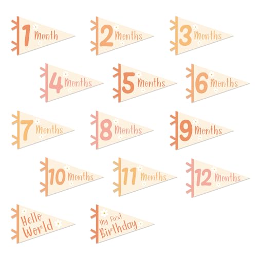 Image of JarThenaAMCS 14Pcs Baby Milestone Pennant Signs Daisy Monthly Milestone Banner Flags Felt Pennant Signs for Newborn First Birthday Baby Shower Party Decor