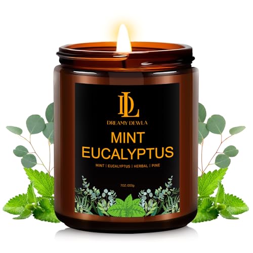 Mint Eucalyptus Candles Mint Eucalyptus Scented Candle Mothers Day Candle Gifts for Women Soy Candles for Home Scented 7oz 50 Hours Burn