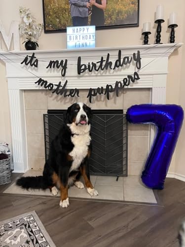 Image of Number Balloons 7 Balloon Navy Blue for 7 Birthday Party Decorations, 40 in | Saturated Color, Large 40 in, With Inflation Straw & Hanging Hole, Great for Men's Party, Back-To-School Season, Pool Party
