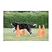 TRIXIE Dog Agility Hurdle Cone Set – Dog Agility Set with Height Adjustable Crossbar for Beginners & Advanced, Dog Agility Equipment for Dog Obstacle Courses – 6 x Cones, 3 x Agility Rods