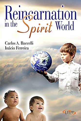 Reincarnation in the Spirit World (English Edition)