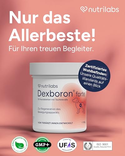 NutriLabs Dexboron® forte Hunde Kautabletten 50 STK. - Tabletten mit Teufelskralle für Hunde - Hunde Regenerationsmittel mit Weidenrinde, Weihrauchextrakt u.v.m. - Hunde Regenerationsmittel