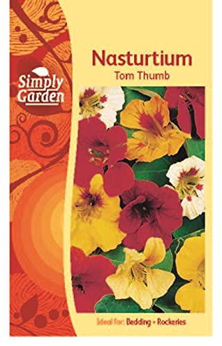 Nasturtium Seeds Tom Thumb Compact Easy-to-Grow Annual Flowers for Garden Beds Containers and Patio