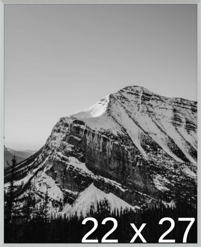 Frame It Easy 22 x 27 Satin Silver Metal Frame (Ashford)