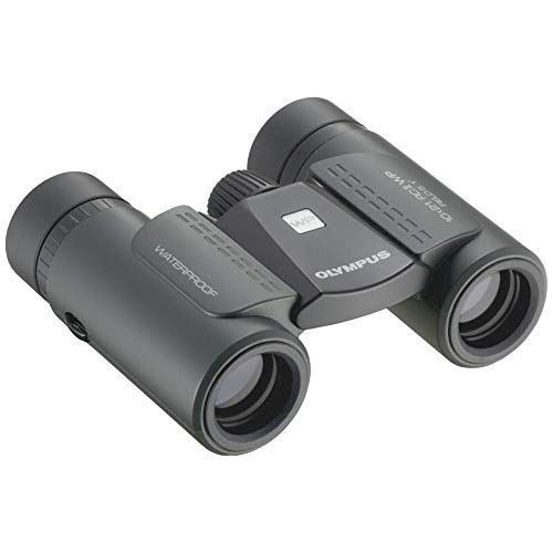 Olympus 10x21 RC II WP Schwarz