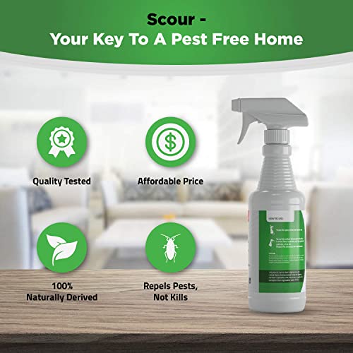 Germofin Scour Organic Home Pest Control Spray - Peppermint Oil - Kills & Repels, Ants, Roaches, Spiders, And Other Pests Guaranteed - All Natural - Pet Safe - (Indoor/Outdoor Spray - 16Oz #TOP4