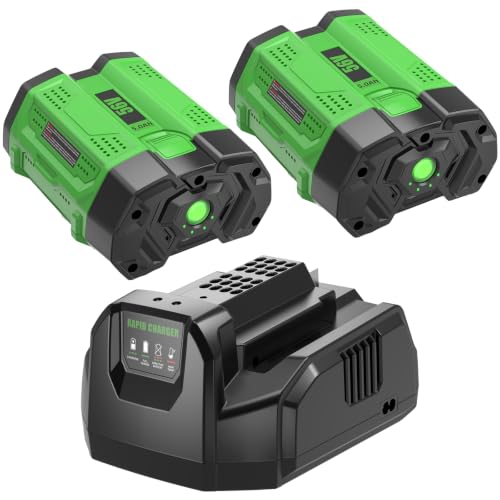 2 Pack 5000mAh Replacement for EGO 56V Battery and CH2100 Charger Compatible with EGO 56 Volt Lithium Battery Power+ Tools BA2800 BA4200 BA4200T CS1604 CS1804 CS1403 HT2400 LB6504 LB6500 LB4800