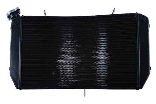 Radiateur d'eau Yamaha FZ1 N RN16 rechange refroidissement moteur FZ8